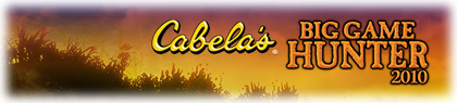 game-banner