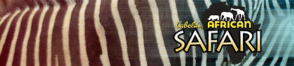 game-banner