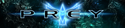 game-banner