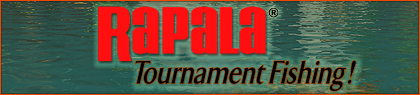 game-banner
