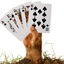 game-tile