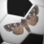 game-tile