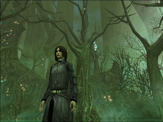 simdreamfall002