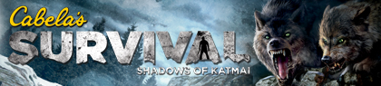 game-banner